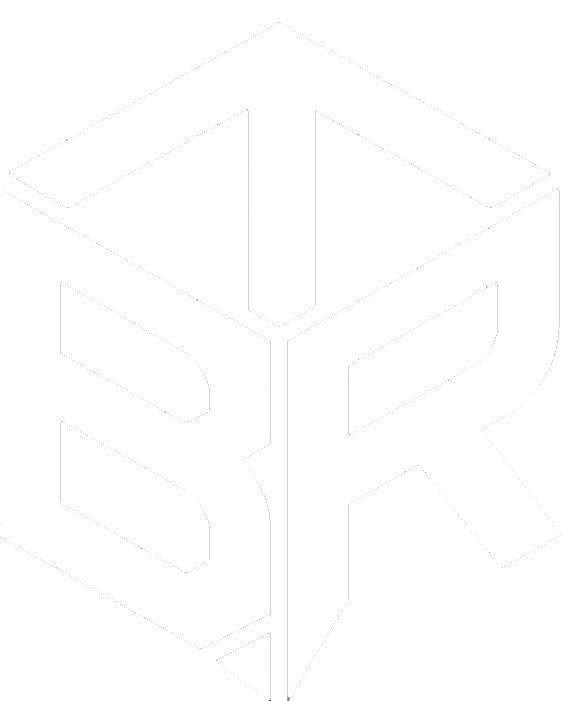 Bitraid