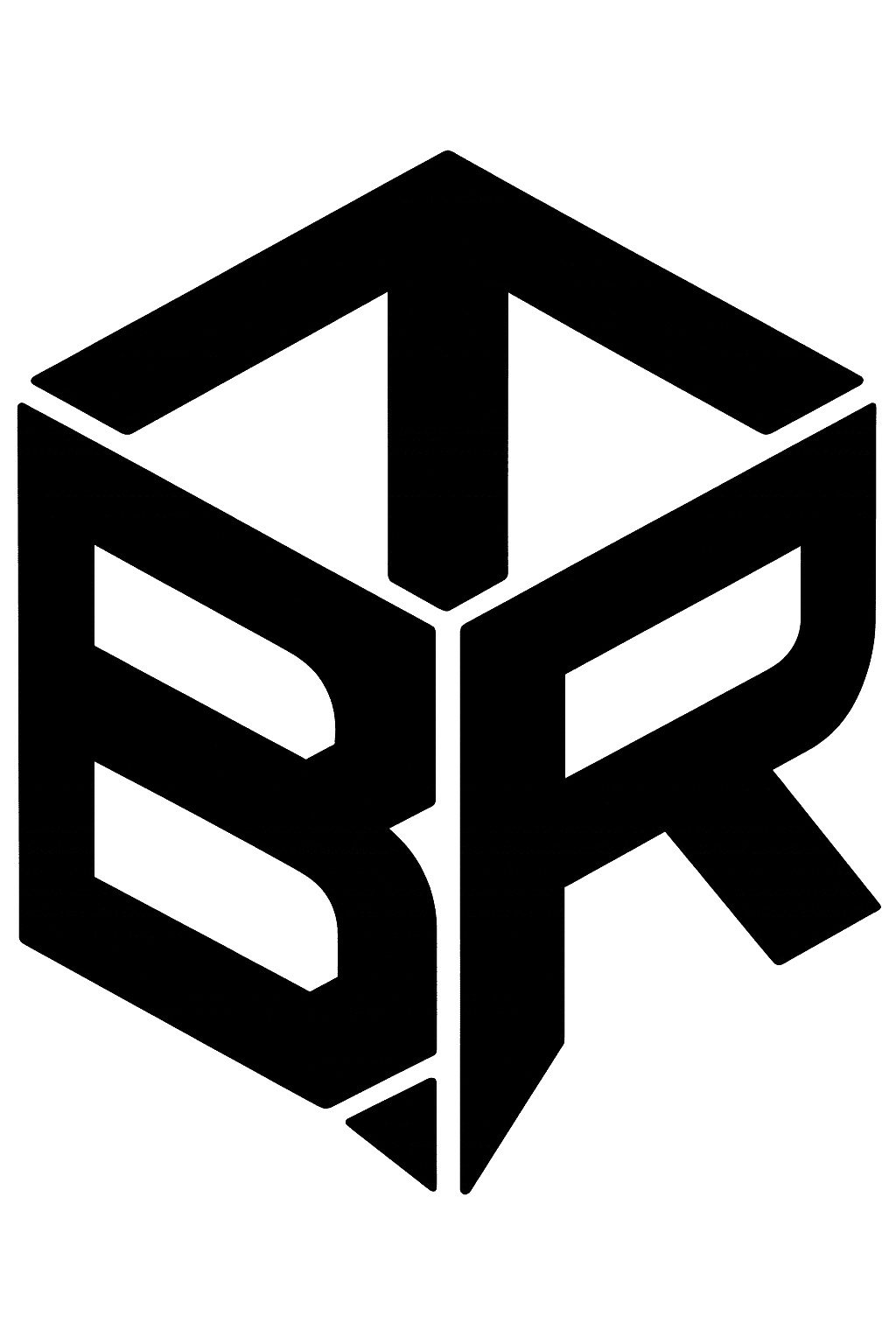 Bitraid